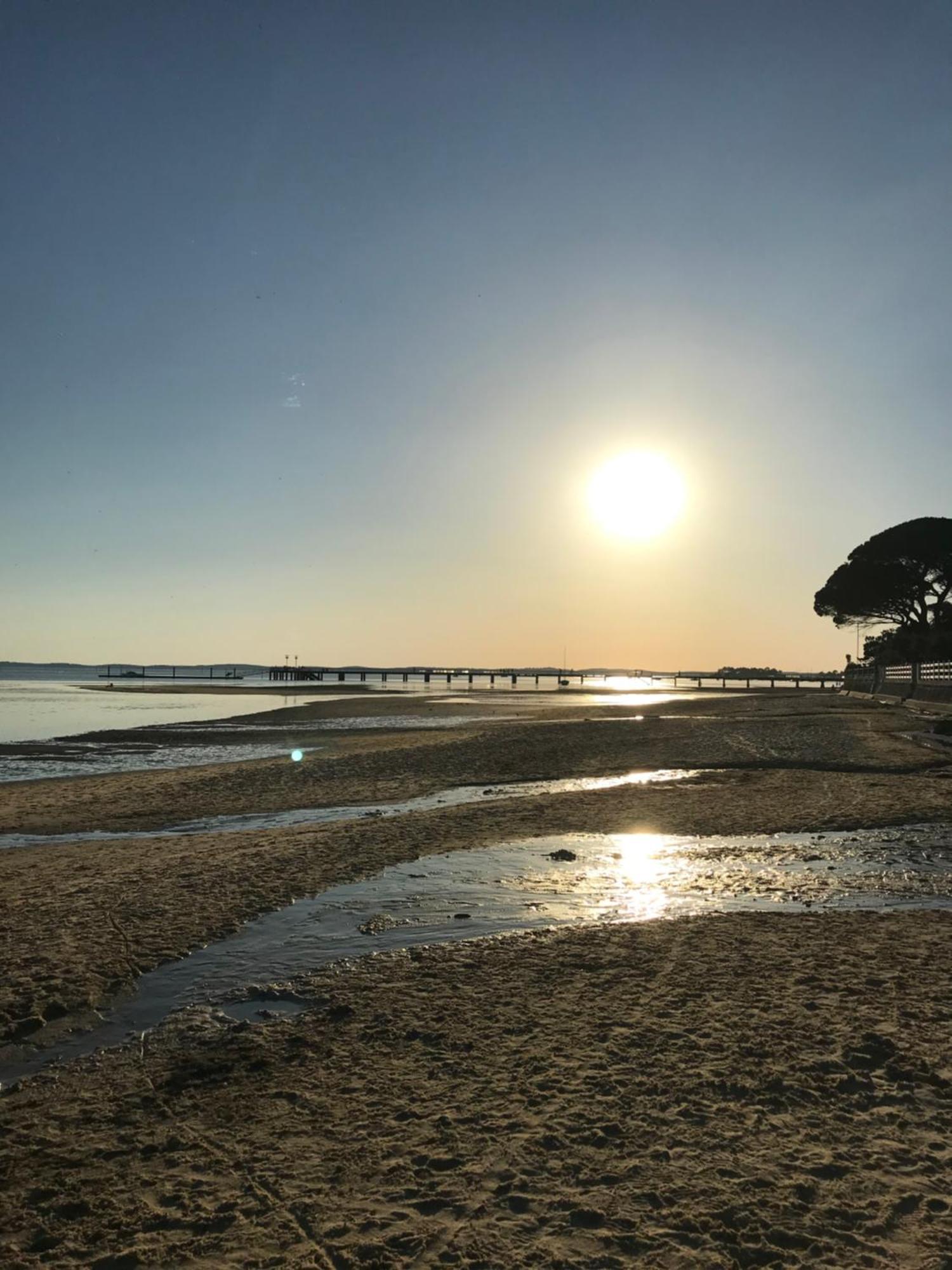 Appart Les Goelands Piscine Et Jardin Andernos-les-Bains Exterior foto