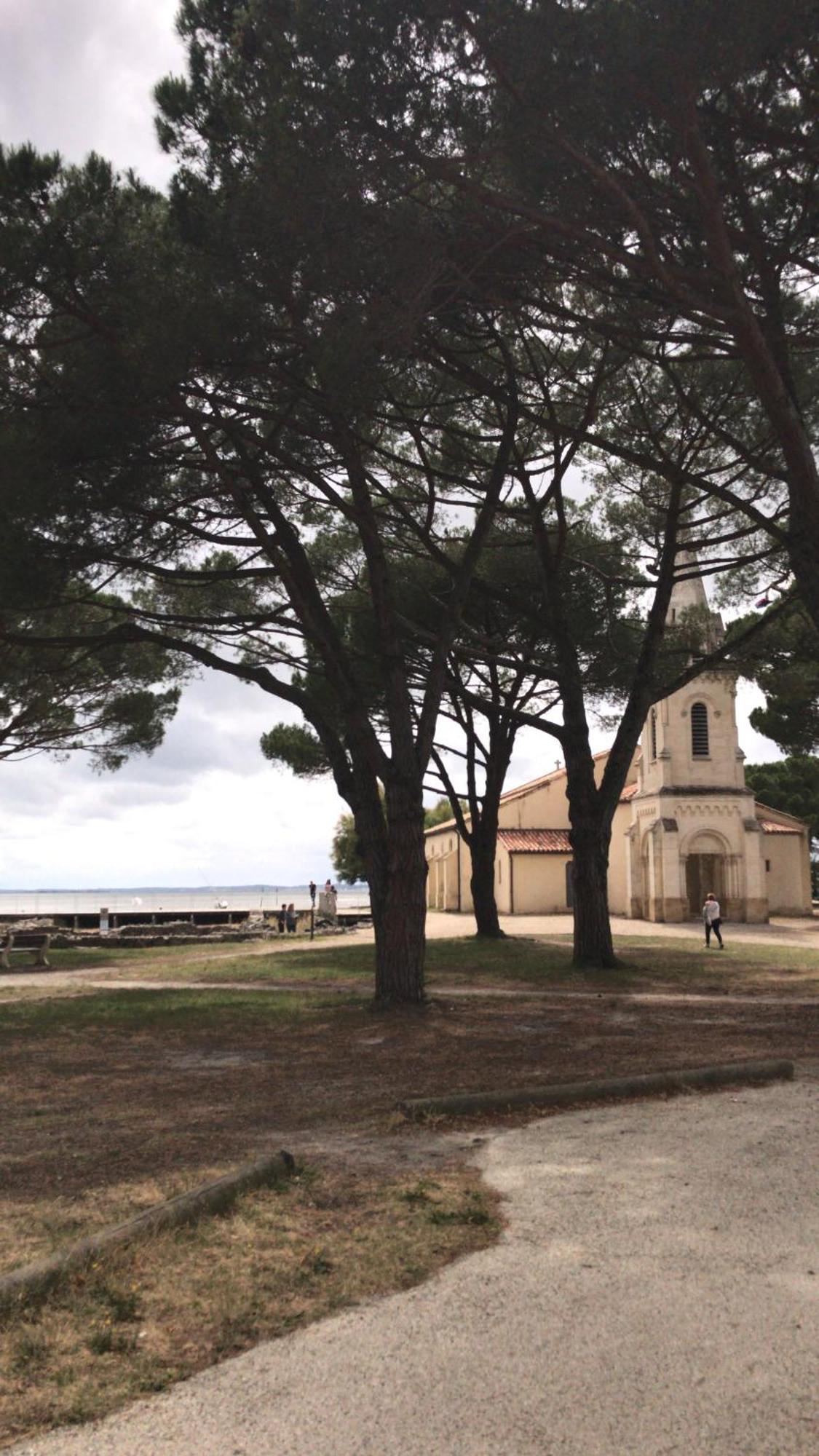 Appart Les Goelands Piscine Et Jardin Andernos-les-Bains Exterior foto